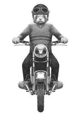 Hand drawn illustration of anthropomorphic weasel riding vintage motorcycle in knitted sweater and helmet clipart