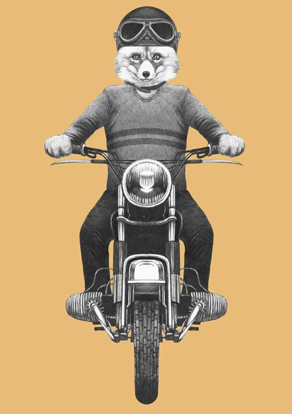 针织毛衣和头盔拟人狐狸骑老式摩托车手绘插图 — 图库照片