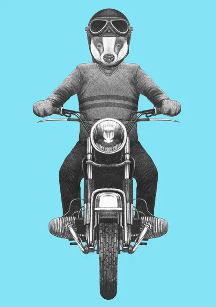 Ręcznie Rysowane Ilustracja Antropomorficzne Borsuk Jazda Vintage Motocykl Swetra Kask — Zdjęcie stockowe
