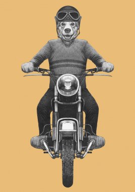 El çizimi antropomorfik köpek örme kazak ve kask vintage motosiklet binme çekilmiş