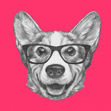 Galce Corgi köpek pembe üzerinde hipster bardaklarda portresi güzel kroki