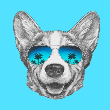 Havacı güneş gözlüğü Galce Corgi köpek güzel kroki portresi ve palmiye ağaçlarının mavi yansıma ile