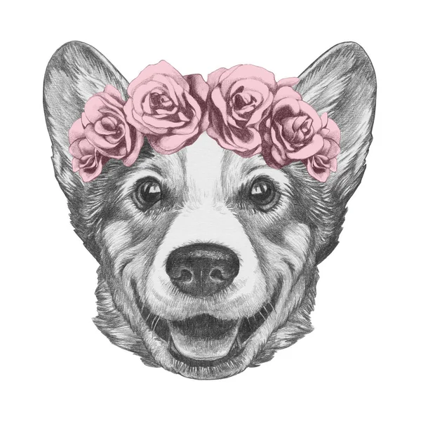 Ωραίο Σκίτσο Πορτρέτο Ουαλλέζικο Corgi Σκύλο Στεφάνι Από Τριαντάφυλλα Απομονώνονται — Φωτογραφία Αρχείου