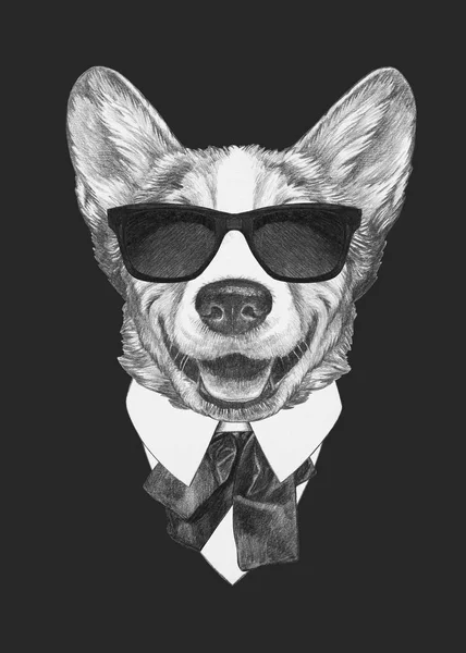 Galce Corgi köpek papyon ve güneş gözlüğü siyah gömlekli portresi güzel kroki