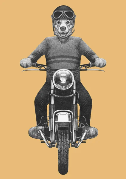 Ilustração Desenhada Mão Cão Antropomórfico Equitação Motocicleta Vintage Suéter Malha — Fotografia de Stock