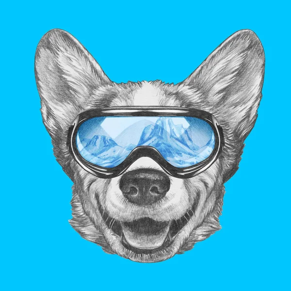 Bonito Retrato Perro Galés Corgi Gafas Snowboard Con Reflejo Montañas — Foto de Stock