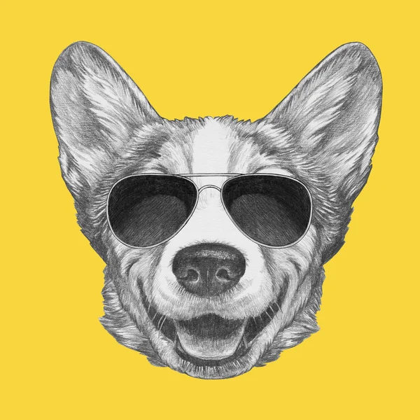 Nice Retrato Esboço Galês Corgi Cão Aviador Óculos Sol Amarelo — Fotografia de Stock