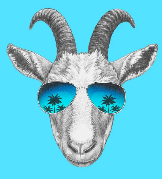 Funny Sketch Portrait Goat Aviator Sunglasses Reflection Palm Trees Blue — Stock Photo, Image