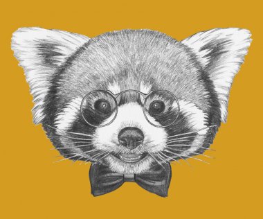 Çok güzel kırmızı panda portre gözlük ve papyon sarı kroki
