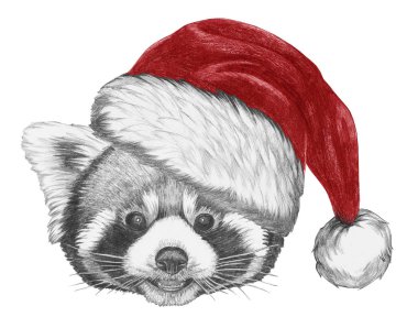 Noel Baba şapkası, üzerinde beyaz izole portre sevimli kırmızı panda kroki