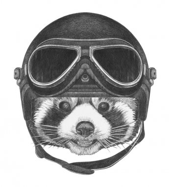 Çok güzel kırmızı panda kroki portre üzerinde beyaz izole Havacılık kask içinde