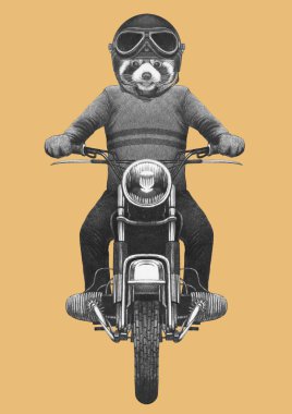 El çizimi antropomorfik red panda örme kazak ve kask vintage motosiklet binme çekilmiş