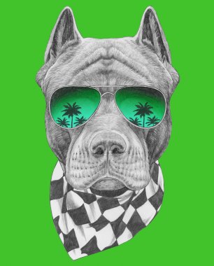 Funny sketch of pit bull portrait  in aviator sunglasses with reflection of palm trees on green