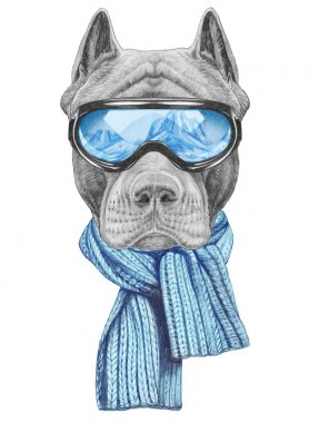 Pitbul portre örme eşarp ve snowboard gözlükler komik kroki üzerinde beyaz dağların yansıması ile