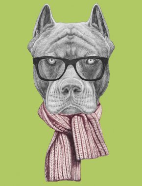 Pitbul portre hipster gözlük ve yeşil örme eşarp komik kroki