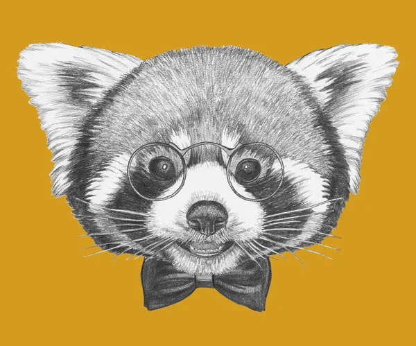 Indah Potret Panda Merah Sketsa Pince Nez Dan Dasi Kupu — Stok Foto