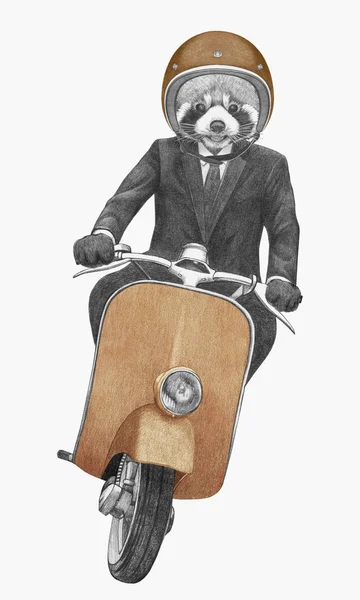 Illustration Dessinée Main Panda Rouge Anthropomorphe Équitation Scooter Moteur Vintage — Photo