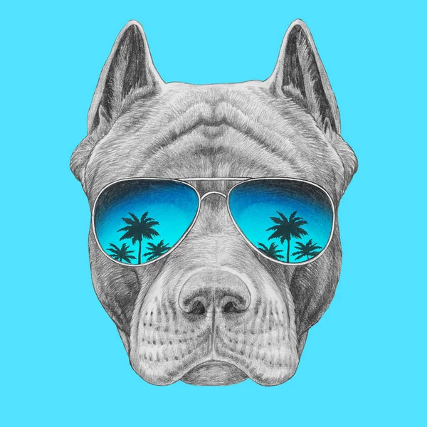 Funny sketch of pit bull portrait in aviator sunglasses with reflection of palm trees on blue