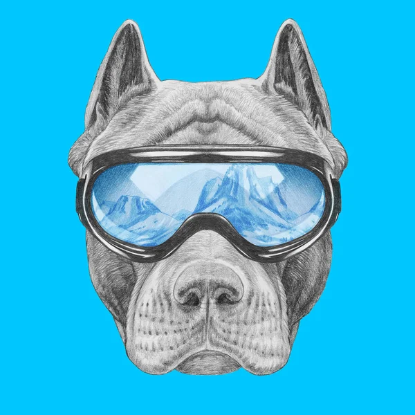 Divertido Boceto Pit Bull Retrato Gafas Snowboard Con Reflejo Montañas — Foto de Stock