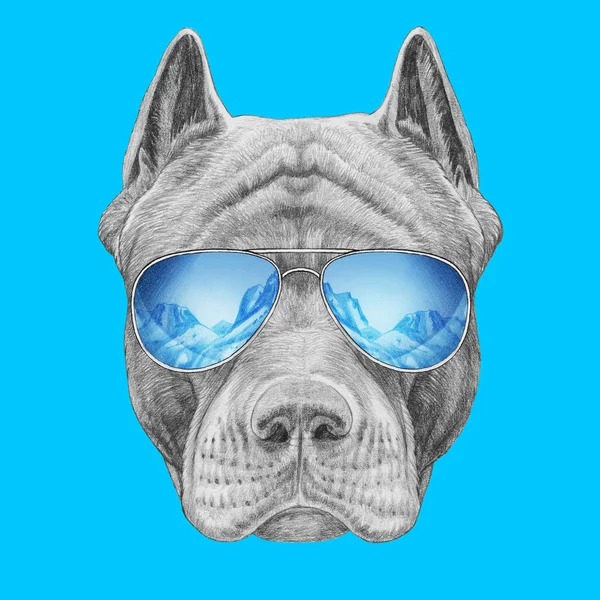 Funny Sketch Pit Bull Portrait Aviator Sunglasses Reflection Mountains Blue — Stock Photo, Image