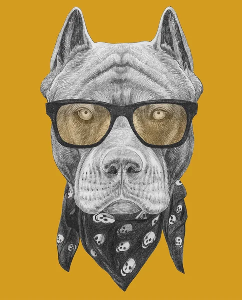 Funny Sketch Pit Bull Portrait Hipster Glasses Bandana Skulls Yellow — Stock Photo, Image
