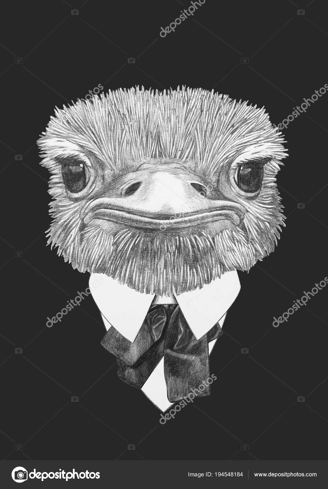 Portrait Dessin Drôle Autruche Noeud Cravate Chemise Sur