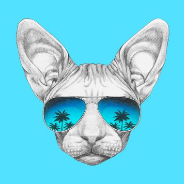 Havacı güneş gözlüğü Sphynx kedi güzel kroki portresi ve palmiye ağaçlarının mavi yansıma ile