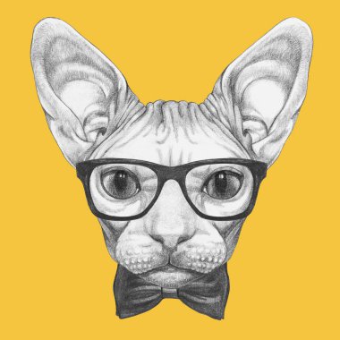 Sphynx kedi hipster gözlük ve papyon portresi güzel kroki