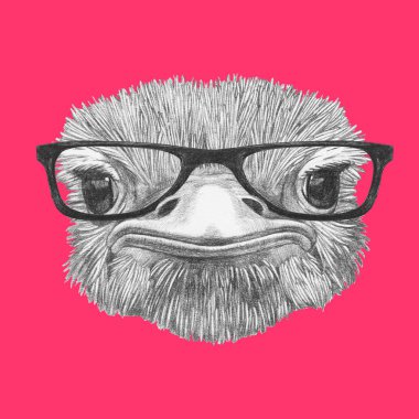 Devekuşu pembe üzerinde hipster bardaklarda portresi komik skeç