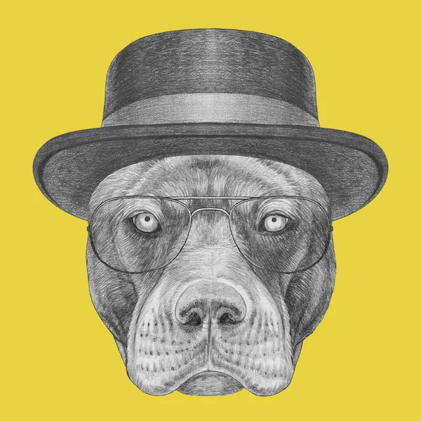 Funny sketch of pit bull portrait in glasses and hat with ribbon on yellow
