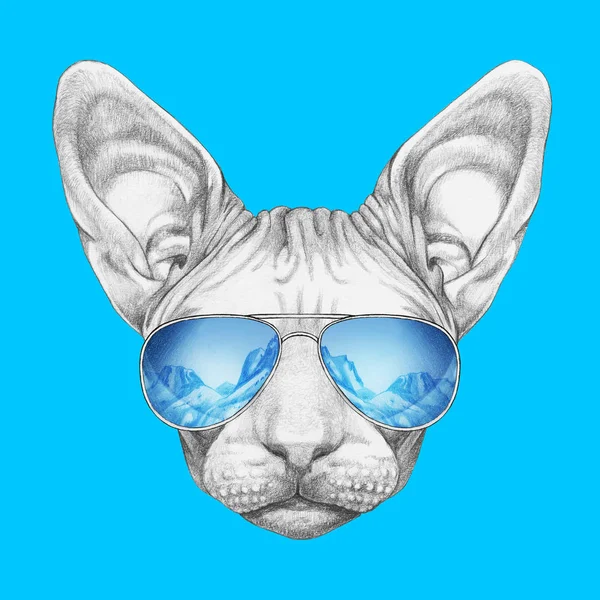 ภาพสเก สวยงามของแมว Sphynx ในแว นตาสโนว บอร การสะท อนของภ เขา — ภาพถ่ายสต็อก