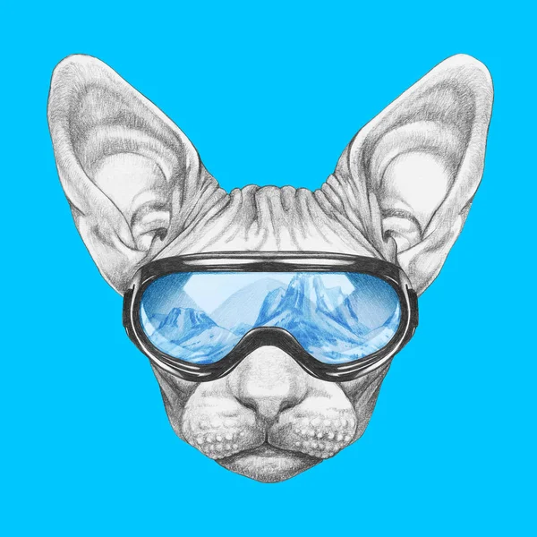 Nice Sketch Portrait Sphynx Cat Snowboarding Goggles Reflection Mountains Blue — Stock Photo, Image