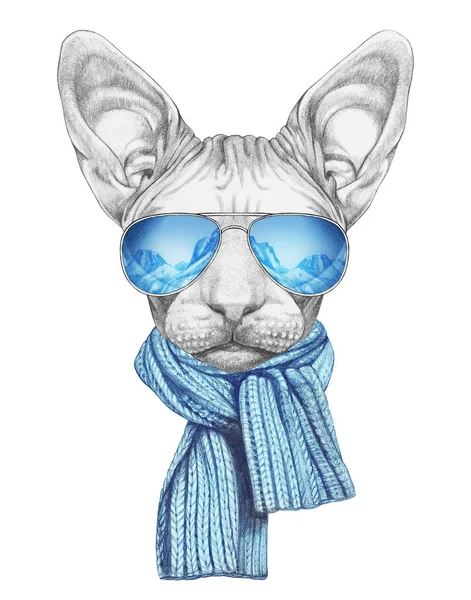 반사와 스카프와 선글라스에 Sphynx 고양이의 스케치 초상화 — 스톡 사진