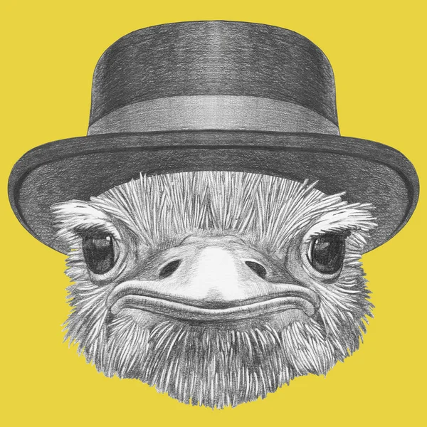 Забавный Портрет Страуса Шляпе Лентой Желтом — стоковое фото