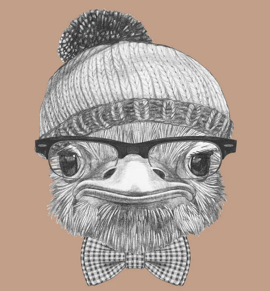 Grappige Sketch Portret Van Struisvogel Hipster Glazen Gebreide Muts Beige — Stockfoto