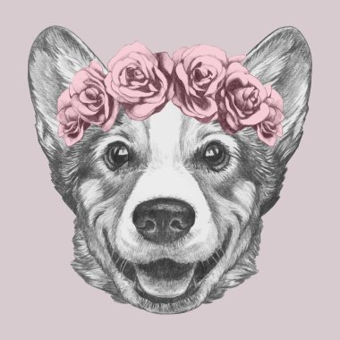 Pembroke Welsh Corgi 'nin portresi. Çiçekli baş çelengi. El çizimi illüstrasyon