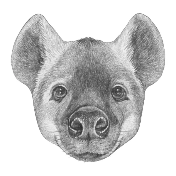 Portrait Hyena Illustration Dessinée Main — Image vectorielle