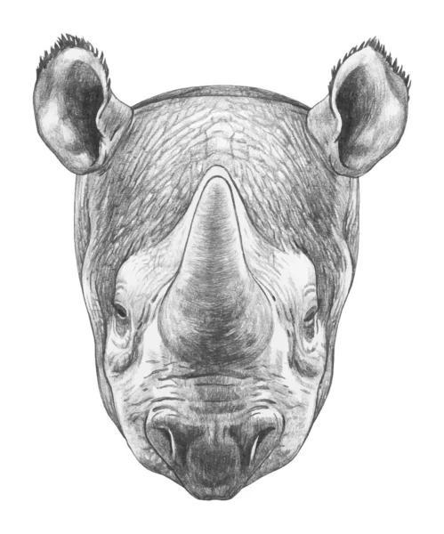 Retrato Rinoceronte Ilustração Desenhada Mão —  Vetores de Stock