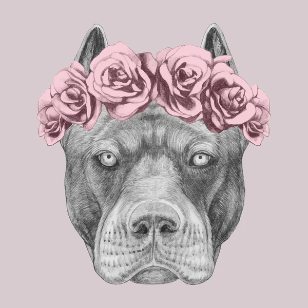 Retrato Pit Bull Com Coroa Floral Cabeça Ilustração Desenhada Mão —  Vetores de Stock