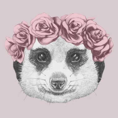 Meerkat 'ın portresi ve çiçekli baş çelengi. El çizimi illüstrasyon