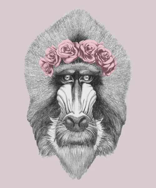 Retrato Mandrill Com Uma Coroa Rosas Ilustração Desenhada Mão —  Vetores de Stock