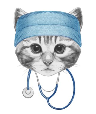 Steteskoplu kedi portresi güzelmiş.