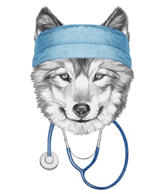 Steteskoplu bir kurt portresi.