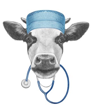 Steteskoplu inek portresi. El çizimi illüstrasyon. 