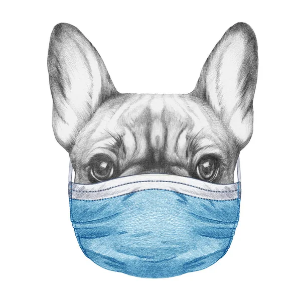 戴着医疗面具的狗的漂亮素描画像 — 图库照片