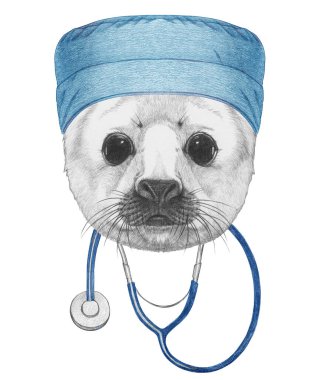 Steteskoplu fok resmi.