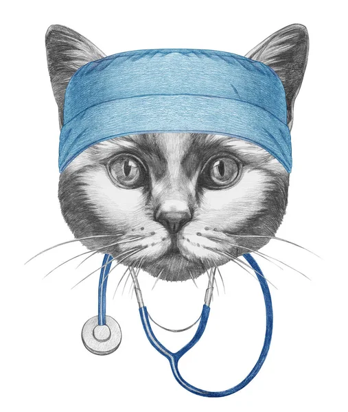 带听诊器的猫的漂亮素描画像 — 图库照片