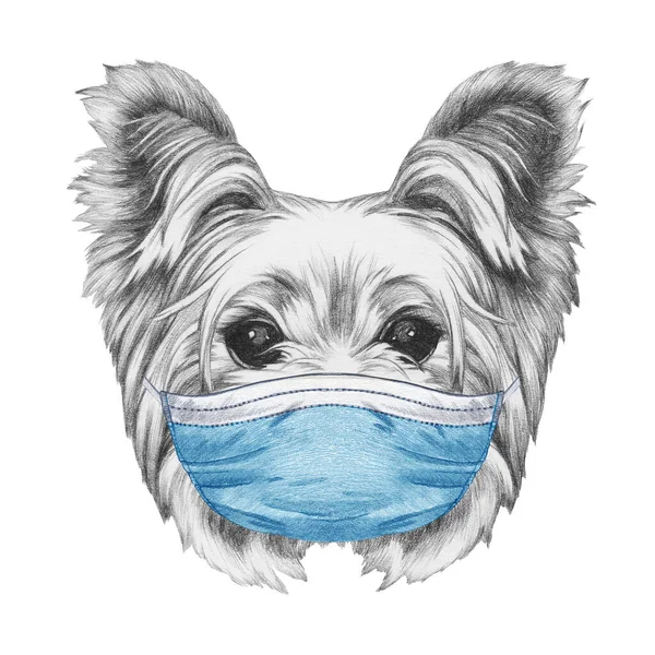 Esboço Retrato Yorkshire Terrier Máscara Médica Vírus Corona Covid 2019 — Fotografia de Stock