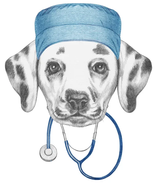 带听诊器的达尔马提亚犬的漂亮画像 — 图库照片