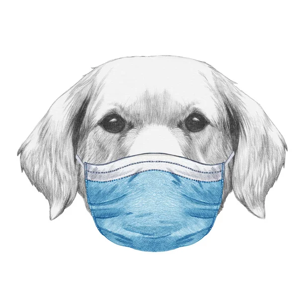 Sketch Portré Labrador Retriever Orvosi Maszkban Covid 2019 Koronavírus — Stock Fotó